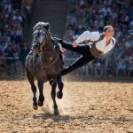 AITAWAK SPECTACLE EQUESTRE OURS & LOUPS