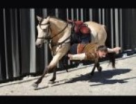 AITAWAK SPECTACLE EQUESTRE ECURIE GÎTE SALLE DE RÉCEPTION
