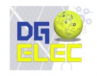 DG ELEC D.GUIRAUD