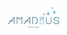 AMADEUS NETTOYAGE ET SERVICES ASSOCIEES