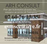 ARH CONSULT