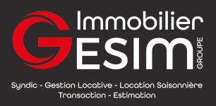 GROUPE GESIM