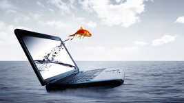 AUX 4 SAISONS DE L'INFORMATIQUE