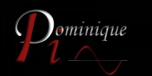 PIN DOMINIQUE