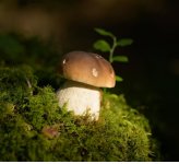 HÔTEL DES VOYAGEURS