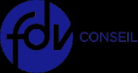 FDV CONSEIL