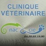 CLINIQUE VETERINAIRE BUCHET CUVEILLIER OSSEBI