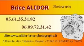 ALIDOR BRICE