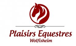 PLAISIRS EQUESTRES - PONYS'UP