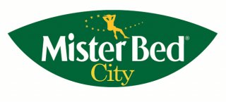 HOTEL BOURGOIN CENTRE (FUTUR IBIS BUDGET)