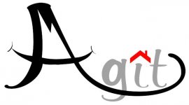 AGENCE AGIT IMMOBILIER