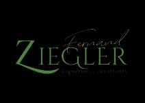 ZIEGLER FERNAND & FILS EARL