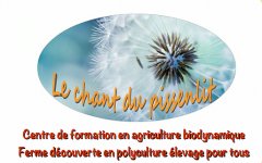 LE CHANT PISSENLIT