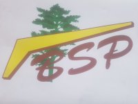 BOIS ET STRUCTURES DU PATIS