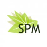 SPM SERVICES