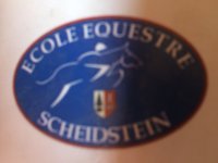 ECOLE EQUESTRE SCHEIDSTEIN