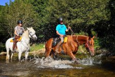 FERME EQUESTRE L'EPERON