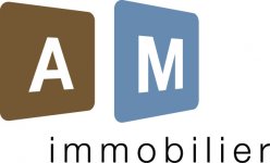 AM IMMOBILIER