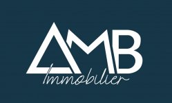 AMB IMMOBILIER