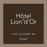 HOTEL DU LION D'OR