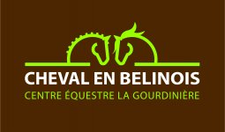 CHEVAL EN BELINOIS