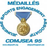 COMITE DEPARTEMENTAL DES MÉDAILLES DE LA JEUNESSE, DES SPORTS ET DE L'ENGAGEMENT ASSOCIATIF