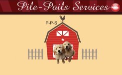 PILE-POILS-SERVICES
