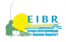 EIBR
