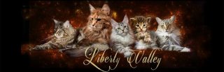 LIBERTY VALLEY