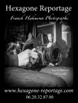 HEXAGONE REPORTAGE