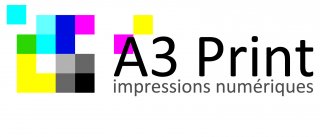 A 3 COPIES/ A3 PRINT