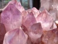 LITHOPHILE GARD /MAES CLAUDINE