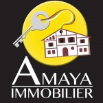 AMAYA IMMOBILIER