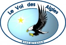 WEF- LE VOL DES AIGLES