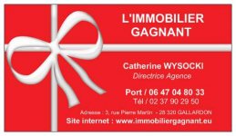 AGENCE L'IMMOBILIER GAGNANT