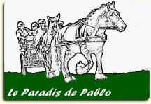 LE PARADIS DE PABLO (ASSOCIATION)