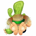 CAMPING LA SIESTA****