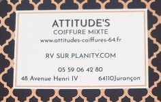 ATTITUDE'S