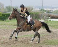CENTRE EQUESTRE EPERON