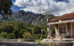 CAMPING E CANICCE ***