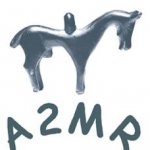 AMIS DU MUSEE ET MEDIATHEQUE DE ROANNE