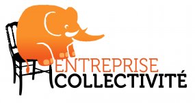 WWW.ENTREPRISE-COLLECTIVITE.FR