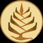 AMEL BRIHMAT-SOPHROLOGUE