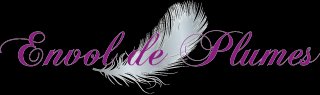 ENVOL DE PLUMES