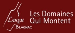 LES DOMAINES QUI MONTENT