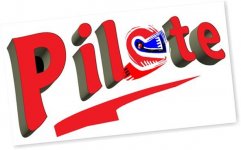 AUTO MOTO ECOLE PILOTE