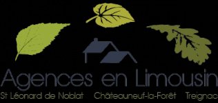 SAINT LEONARD IMMOBILIER