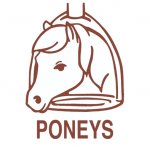 ASSOCIATION CENTRE EQUESTRE GRENADIERE