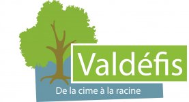 VALDEFIS