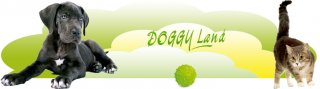 DOGGY LAND